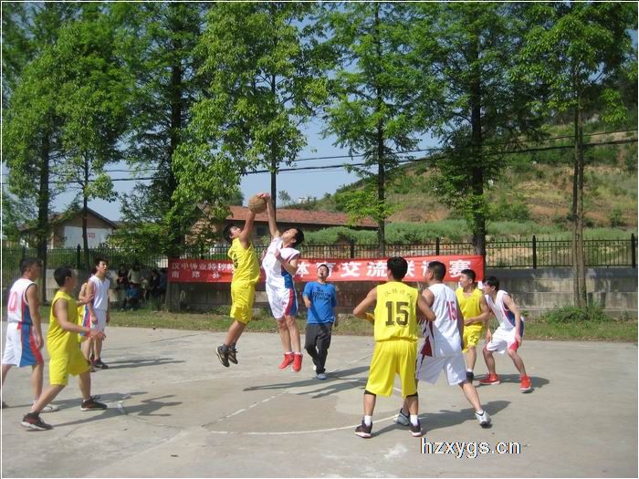 點擊查看放大圖